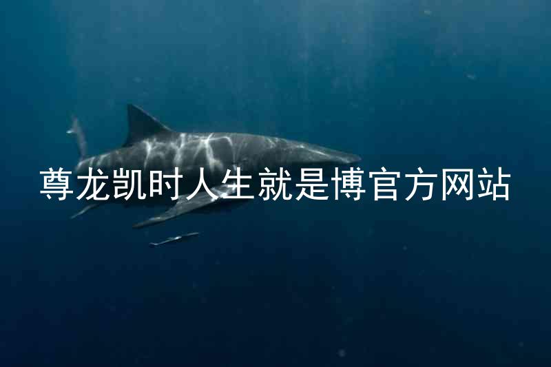 尊龙凯时人生就是博官方网站